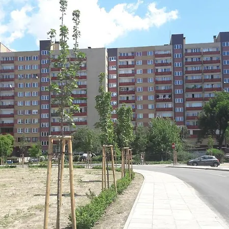 City Studio