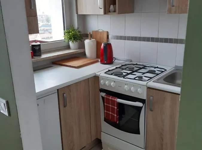 City Studio 아파트 *